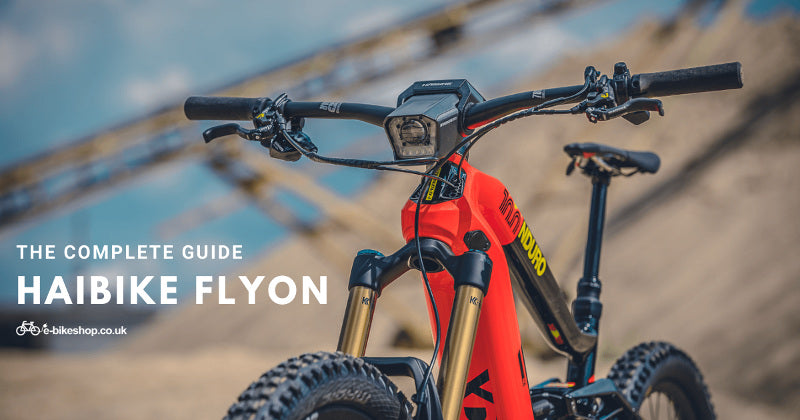 Haibike FLYON Complete Guide 2020 Electric Bikes