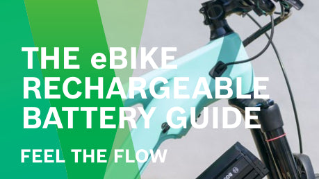 Bosch eBike Battery Guide 2019