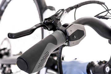 Raleigh Motus Step Through 10spd Bosch