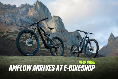 2025 DJI Avinox Amflow Electric bikes with 120nm torque at E-Bikeshop