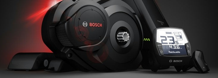 Bosch eBike 350w 250w Difference