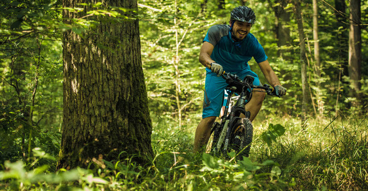 Haibike All Mountain eBikes 2015