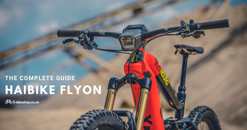 Haibike FLYON Complete Guide 2020 Electric Bikes