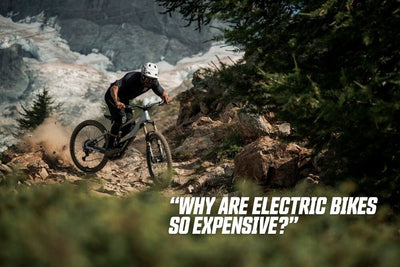 Why are electric bikes so expensive? 