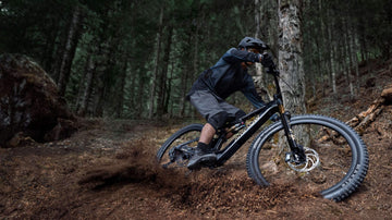 Amflow Electric Bike Range of eMTB