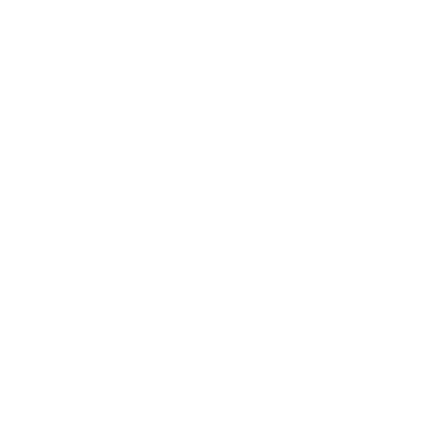 Maximum Torque on Amflow E-Bikes