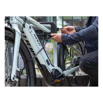 Hiplok DXP D Lock & 2m Cable on Bike 