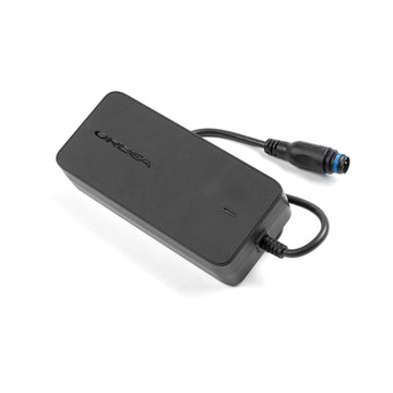 Orbea Rise Smart Charger RS Gen 1 - Alloy