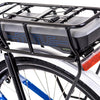 Raleigh Motus Step Through 10spd Bosch