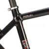 Raleigh Motus Grand Tour Crossbar Bosch