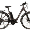 Raleigh Motus Low Step 2020 Bosch