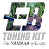 Tuning Dongle Kit for Yamaha eBikes